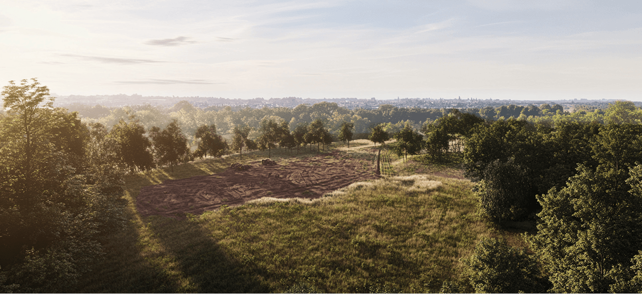 Land Development: A step-by-step guide to purchasing land in Ivory Coast, from verifying land ownership and conducting due diligence to completing legal formalities and securing the property.
